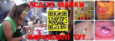 шишки Нарткала