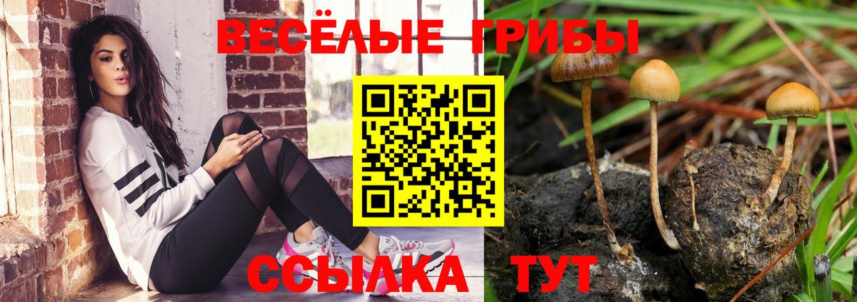 Южно-Сахалинск  Галлюциногенные грибы ЛСД  Вход с VPN  Псилоцибиновые грибы мухоморы 